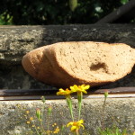 Chleba