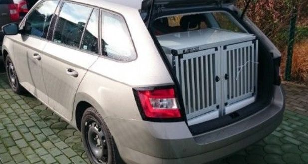 5 důvodů proč pravidelně převážet psa v přepravce