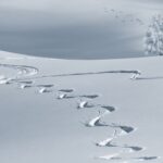 ski