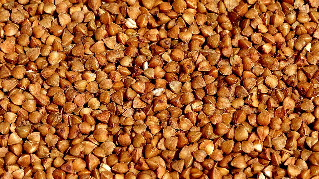 Pohanka jako oblíbená ingredience při vaření