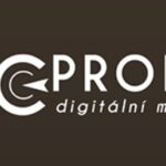 ppc profits digitalni marketing