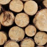wood