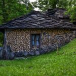 ecologic house